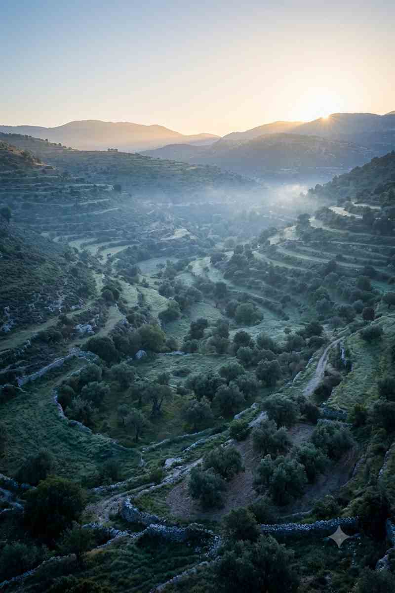 Revival and light breaking over Samaria